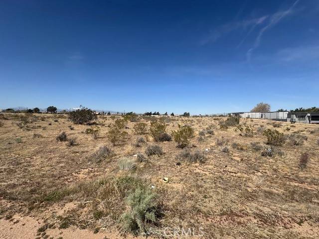 Hesperia, CA 92345,0 Lemon