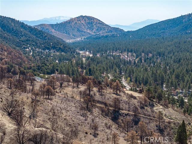 Wrightwood, CA 92397,0 North Cardinal Rd