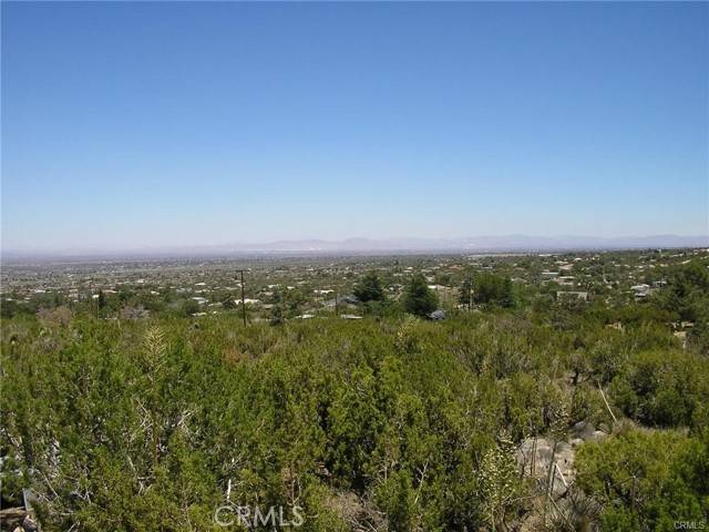 Pinon Hills, CA 92372,375 Canyon Road