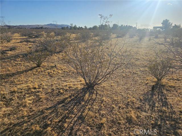 Apple Valley, CA 92308,0 Loma Vista Rd
