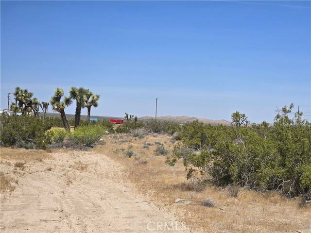 Adelanto, CA 92301,10 Beaver