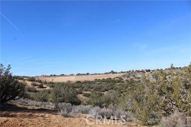 Hesperia, CA 92345,0 Paisley