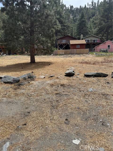Wrightwood, CA 92397,999 Buckthorn