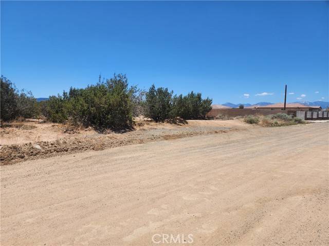 Hesperia, CA 92345,0 Ryeland