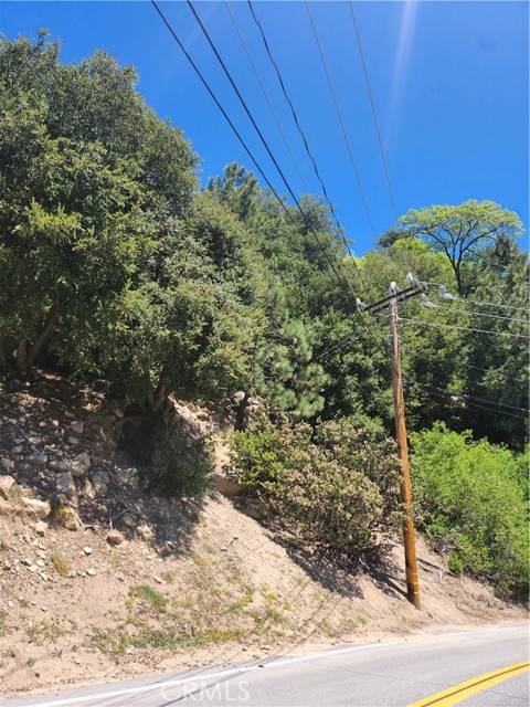 Lake Arrowhead, CA 92352,1187 Brentwood