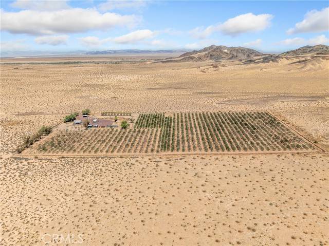 Newberry Springs, CA 92365,49333 Riverside Road