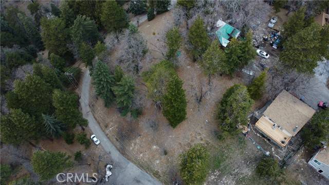 Running Springs, CA 92382,701 Preston