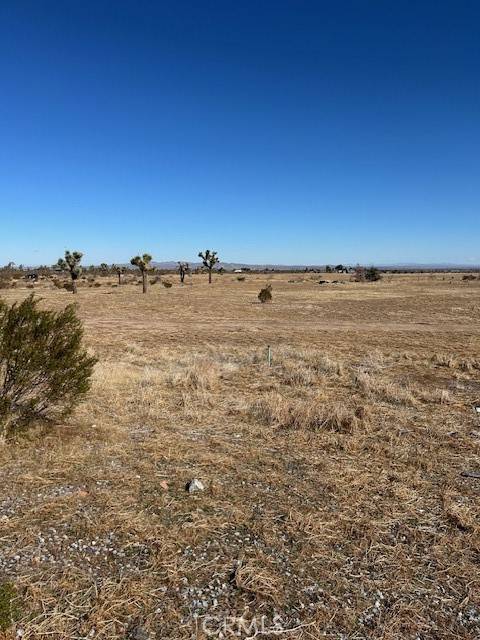 Phelan, CA 92371,0 La Mesa