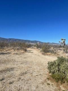 Pinon Hills, CA 92372,0 Pine Tree
