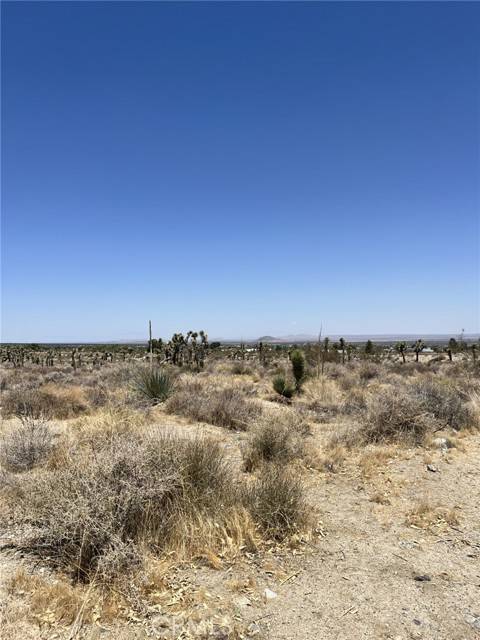 Pinon Hills, CA 92372,0 Pine Tree