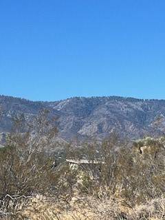 Pinon Hills, CA 92372,0 Pine Tree