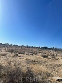 Pinon Hills, CA 92372,0 Pine Tree