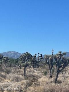 Pinon Hills, CA 92372,0 Pine Tree