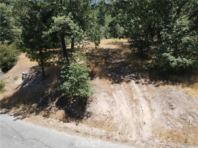 Running Springs, CA 92382,30209 Elfin