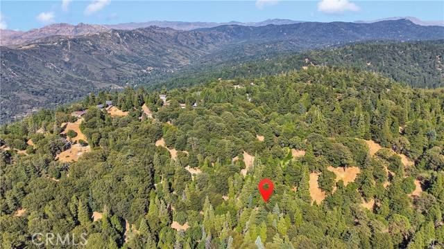 Cedarpines Park, CA 92322,0 Mojave River