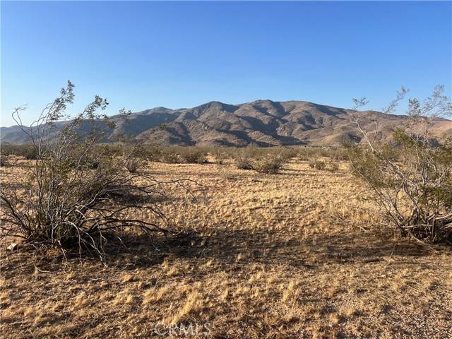 Apple Valley, CA 92308,0 Wren