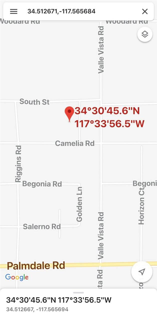 Phelan, CA 92371,0 Camellia