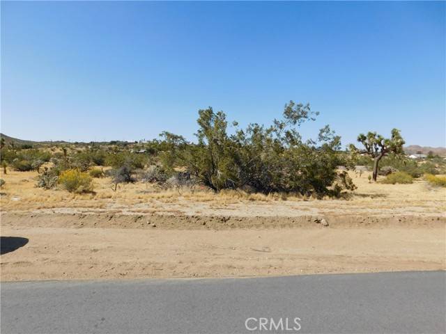 Yucca Valley, CA 92284,59060 Barron