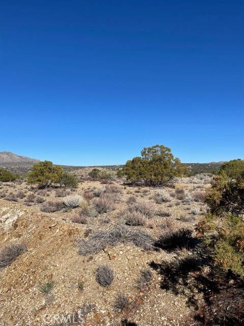 Mountain Center, CA 92220,2 Acres (Park Road)