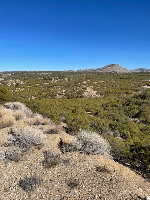 Mountain Center, CA 92220,2 Acres (Park Road)