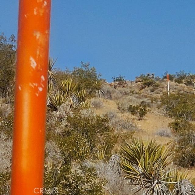 Lucerne Valley, CA 92356,31303 Verde