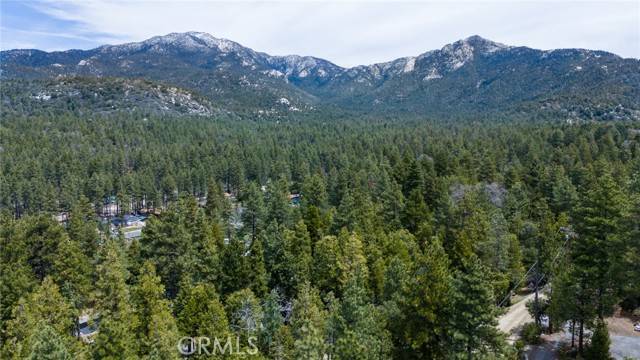 Idyllwild, CA 92549,53045 Marian View Drive