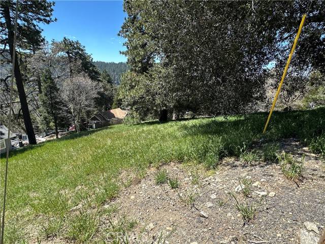 Cedarpines Park, CA 92322,0 Elliot