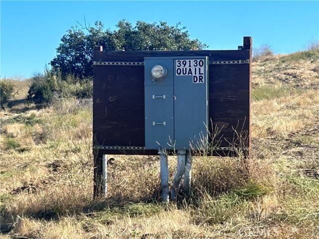 Temecula, CA 92591,0 Quail