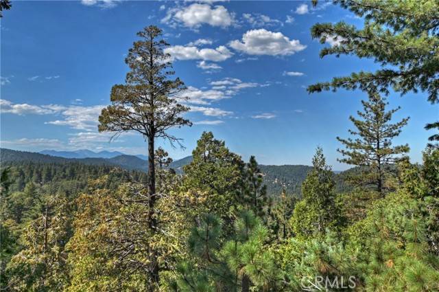 Crestline, CA 92325,23796 Crest Forest Drive