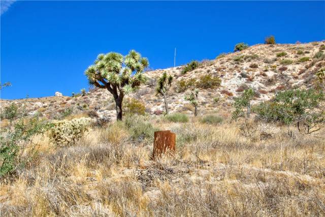 Yucca Valley, CA 92284,7 Parcel 07 29 Palms