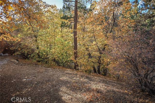 Sugarloaf, CA 92386,498 Pine Lane