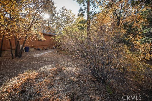 Sugarloaf, CA 92386,498 Pine Lane