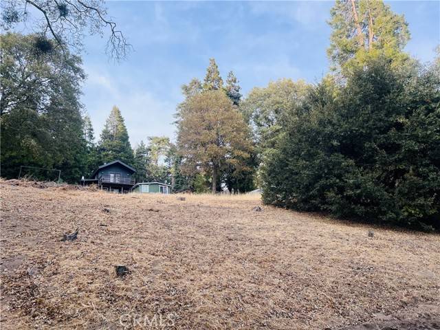 Cedarpines Park, CA 92322,0 Mojave River