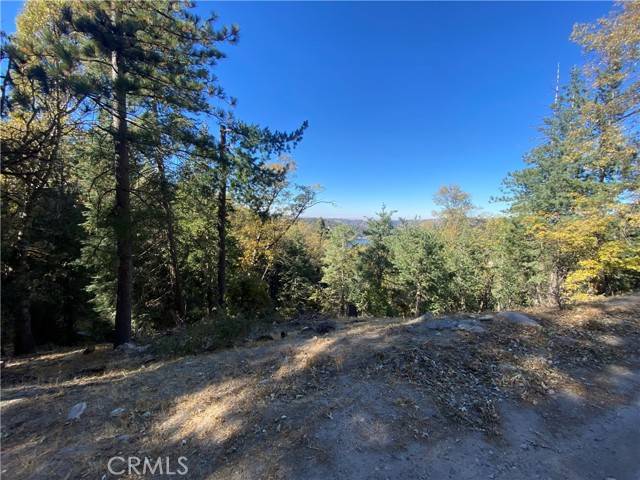 Crestline, CA 92325,24989 Highland