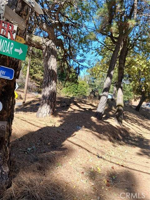 Cedarpines Park, CA 92322,1 Mozumdar