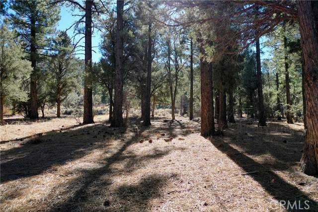 Big Bear City, CA 92314,24 Lot 24 Skyview