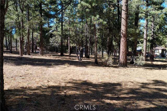 Big Bear City, CA 92314,24 Lot 24 Skyview