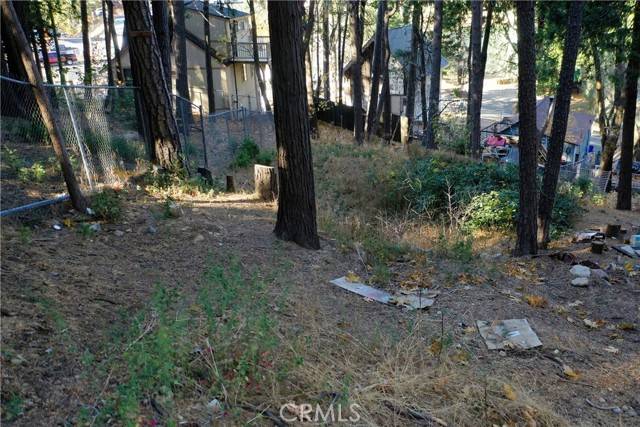 Crestline, CA 92325,828 Big Oak