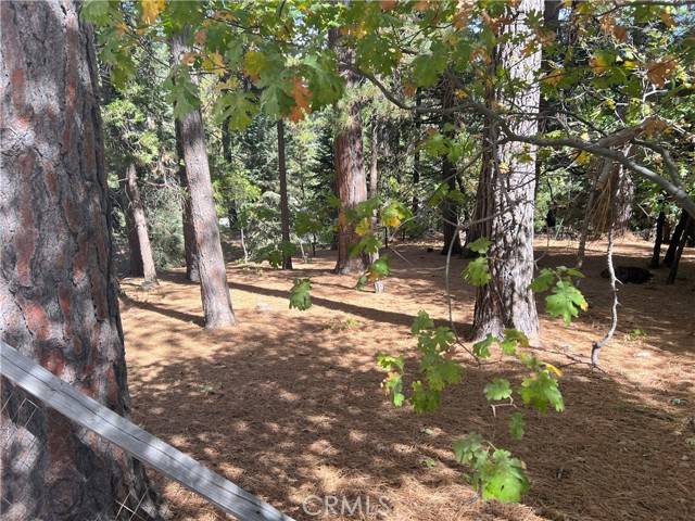 Running Springs, CA 92382,2481 Whispering Pines