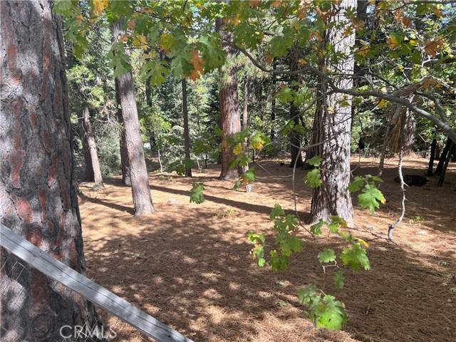 Running Springs, CA 92382,2481 Whispering Pines