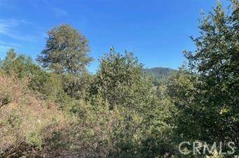 Cedar Glen, CA 92321,0 Pine