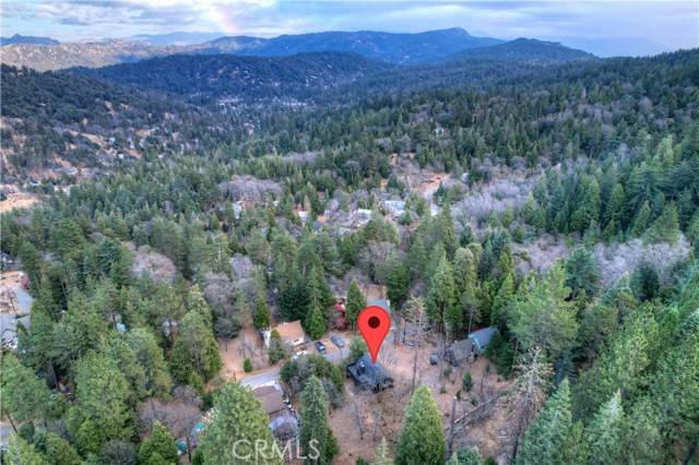 Cedarpines Park, CA 92322,466 Willow Witch Road