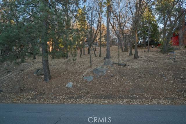 Lake Arrowhead, CA 92352,1411 Yosemite