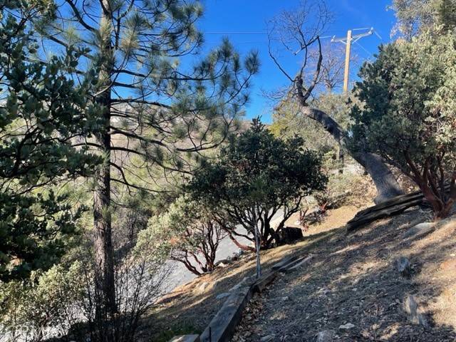 Lake Arrowhead, CA 92352,0 Brentwood