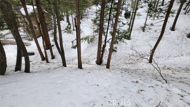 Lake Arrowhead, CA 92352,0 Brentwood