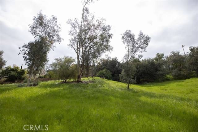 Redlands, CA 92373,1702 Dwight