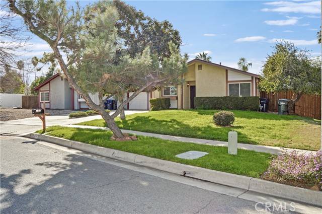 Redlands, CA 92373,209 Tamarisk Street