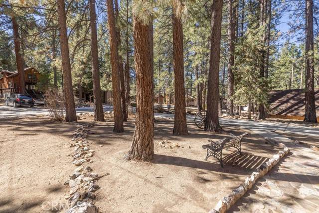 Big Bear Lake, CA 92315,41438 Comstock Lane