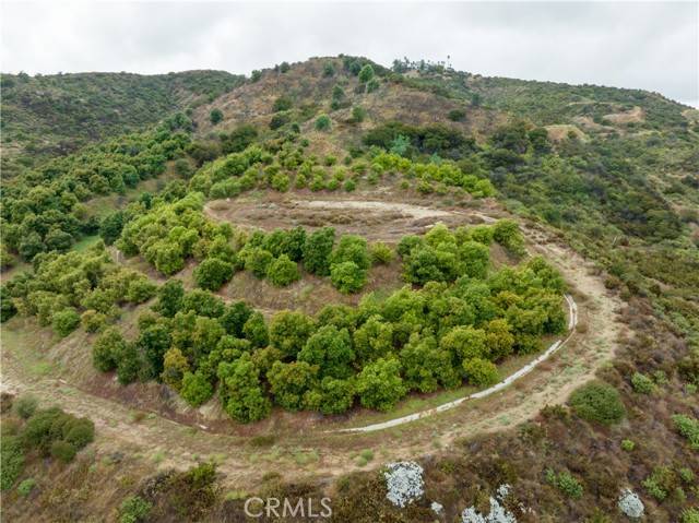 Murrieta, CA 92562,35380 Avenida La Cresta