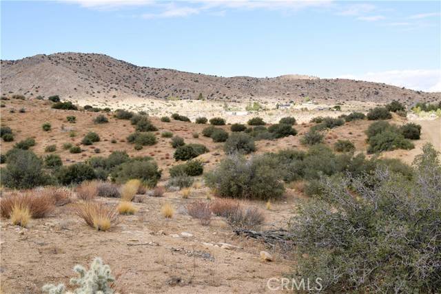 Pioneertown, CA 92268,0 Tumbleweed